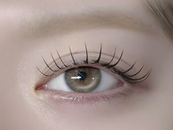 モアビーナス(MOA美enus)/フラットラッシュ140本