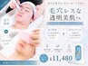【リピーター様】毛穴洗浄（全顔）＋韓国大人気ぷるぷる生パック