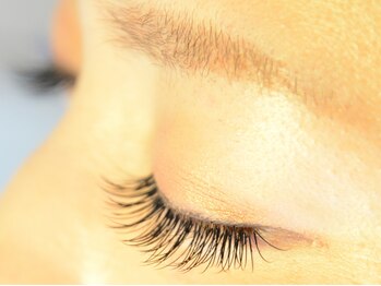 ラシェスキタモト (luscius kitamoto)/まつ毛エクステつけ放題1時間半