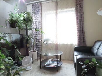 自然美人/お店のホヤ咲ました