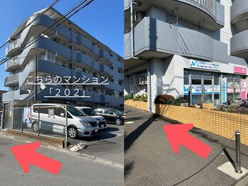 ニコリー(nicolii)/アクセス《2》