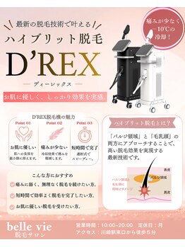 ベルヴィー 川崎(Belle Vie)/ワックス×光併用でW脱毛