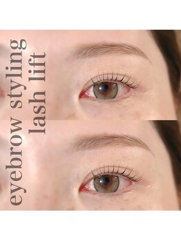 カミーノ(CAMINO)/