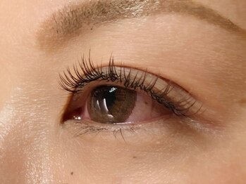 ウルカ アイラッシュ(uruka EYELASH)/フラットラッシュブラウン 140本