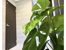 ダイヤモンドビューティー(Diamond Beauty)/ラグジュアリーサロンへご案内