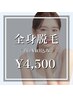 【人気No.1★】全身360°ツルスベ脱毛(顔・VIO込)¥4,500