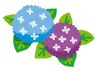 【梅雨撃退♪】ボディケア60分＋選べるオプション20分 合計80分