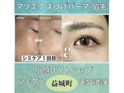 コリー(Kolly)の写真