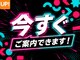 アクア(AQUA)の写真