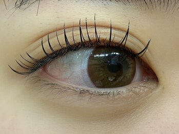 アイラッシュアイブロウ バイ ラブランシュ 大宮(eyelash eyebrow by La Blanche)/まつげパーマ/アイブロウ/眉毛