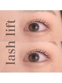 カミーノ(CAMINO)/