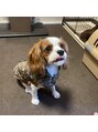 エクシアホワイトニング 戸田公園店 スタッフ W