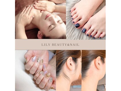 リリー(Lily)の写真