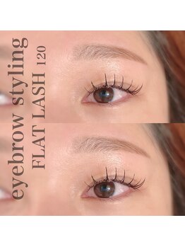 カミーノ(CAMINO)/