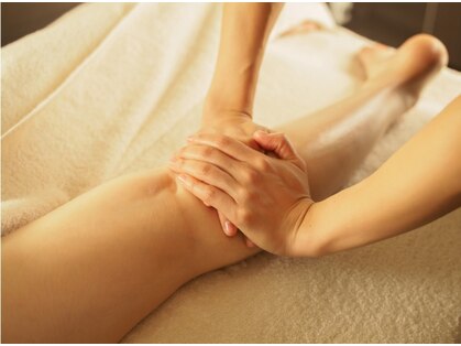 シス(SiS.)の写真