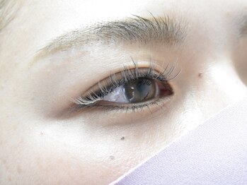 マギバイバディ 宇都宮店(magi by BUDDY)/フラットラッシュカラー