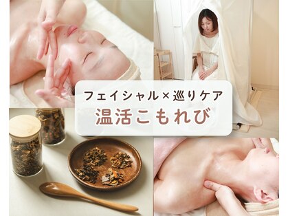 こもれびの写真