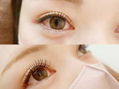 チャイ(Chay)の写真