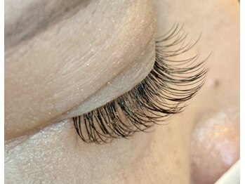 レミア 関内(REMIA)/８月　　フラットラッシュ