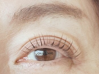 カルムトウキョウ 恵比寿本店(CALM TOKYO)/まつげパーマ恵比寿/代官山