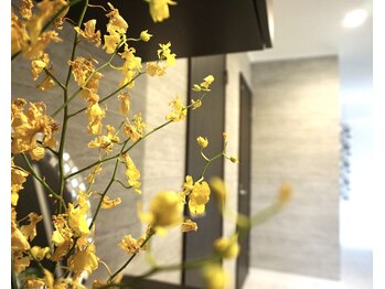 ダイヤモンドビューティー(Diamond Beauty)/ラグジュアリーサロンへご案内