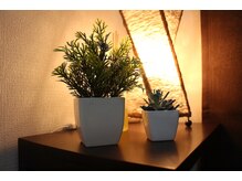 ブリージア(Breezea)/