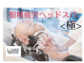 ラクサスプレミアムの写真/PCやスマホの長時間使用などで目が慢性的に疲れ頭が重く感じる、寝ても回復しない方に◎