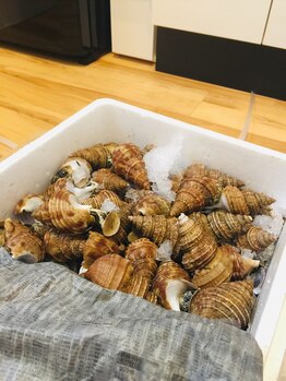 ライフ オステオパシー センター/季節の旬なもの3