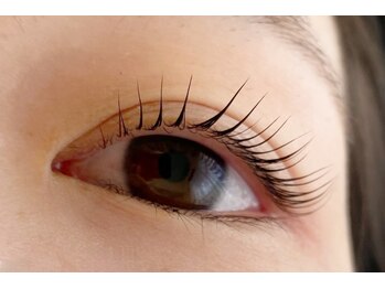 シマー(shimmer)/立ち上げカール!