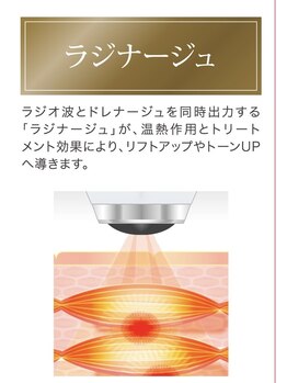 ソフィア(SOPHIA)/セルセロ2コルギ◎ラジナージュ