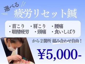 鍼灸チャンドラ(鍼灸Chandra)/マッサージとは一味違う鍼の魅力
