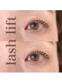 カミーノ(CAMINO)/