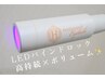 高持続×ボリューム【LEDダブルフラット120束】