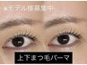 【Jr.アイリストデビュー応援】世莉担当　上下まつげパーマ　￥6000