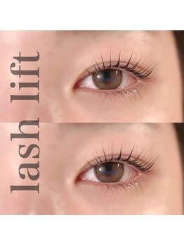 カミーノ(CAMINO)/