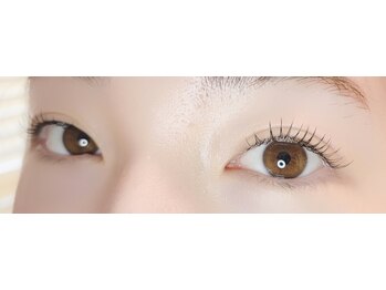 ロカヒ(Lokahi)/お初めの方は80本から