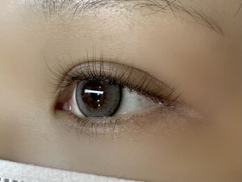 フリー#240(Free#240)/コスメリフト