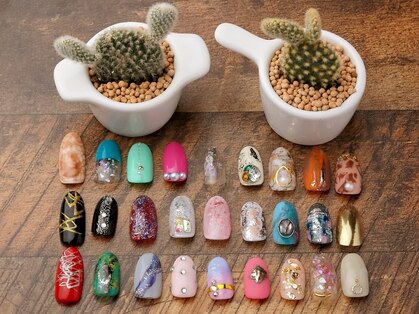 オリ(Oli)の写真