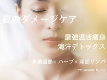 ヨサパークミラー 新高円寺(YOSAPARK Mirror)