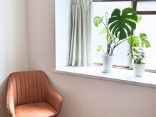 ジュリアン整体院(Julien整体院)/モンステラの花言葉は「献身」