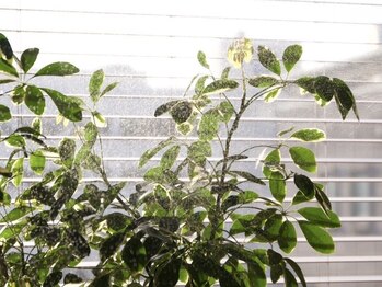 カルム ピラティススタジオ 錦糸町店(KALM pilates studio)/自分を見つめ直す特別な体験を