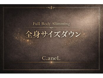 シーアンル(C.aneL)/全身のサイズダウンに