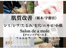 サロンドアモール(Salon de a mole)