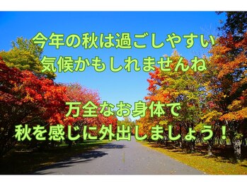 鍼灸院ネクストステップ(鍼灸院NextStep)の写真/過ごしやすい季節がやってきました！万全なお身体で軽快に季節を感じたい方へ鍼灸を提案