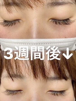 カラーアイラッシュ(Color eyelash)/フラットラッシュ