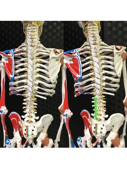 太陽整体室/腰の関節は回旋が苦手！