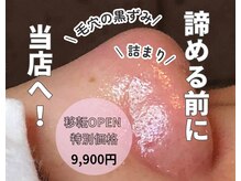 ジプソフィラフィフティドット(gypsophira15.)