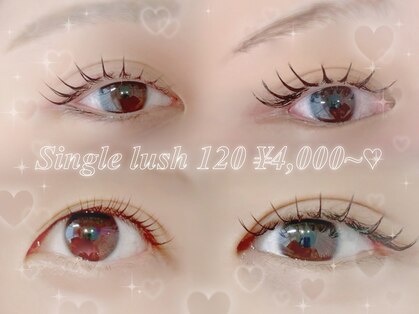 リリーナイン(Lily Nine)の写真