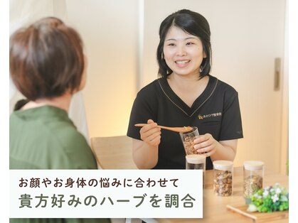 こもれびの写真