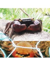 リカ/常滑らしい・・・中庭のカニ！